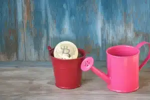 What No One Tells You About the Pepe Coin Phenomenon